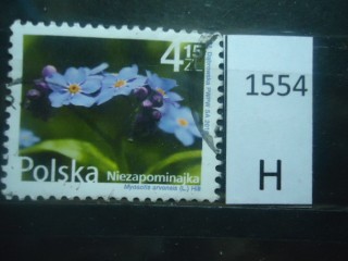 Фото марки Польша 2010г