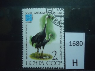 Фото марки СССР 1982г