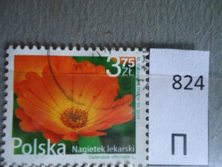 Фото марки Польша 2009г