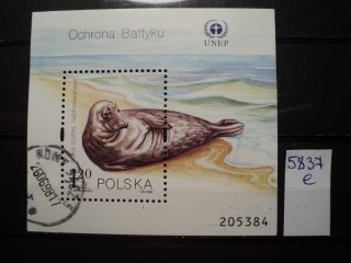 Фото марки Польша блок 1998г