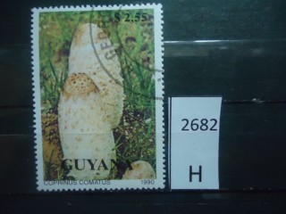 Фото марки Гвиана 1990г