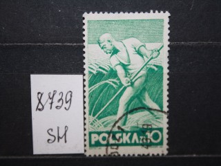 Фото марки Польша 1947г