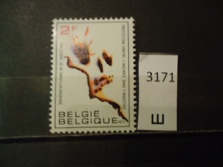 Фото марки Бельгия 1973г **