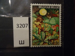 Фото марки Бельгия 1974г **