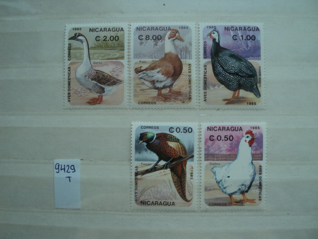 Фото марки Никарагуа 1985г **