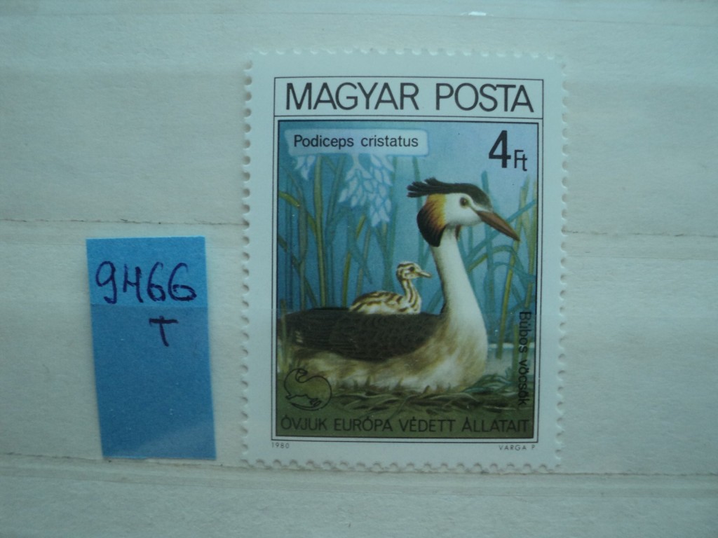 Фото марки Венгрия 1980г **