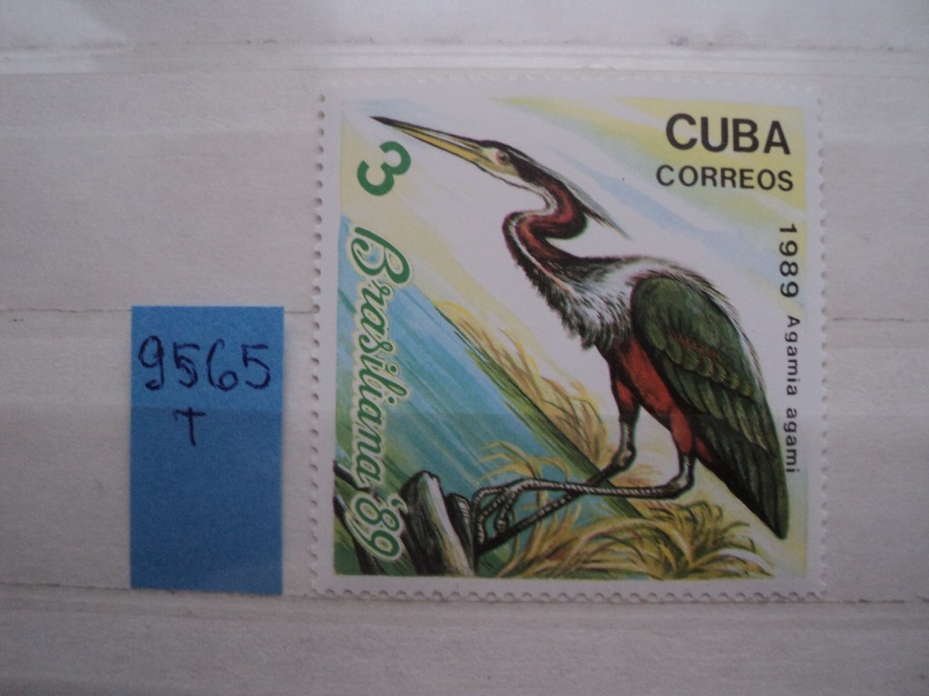 Фото марки Куба 1989г **