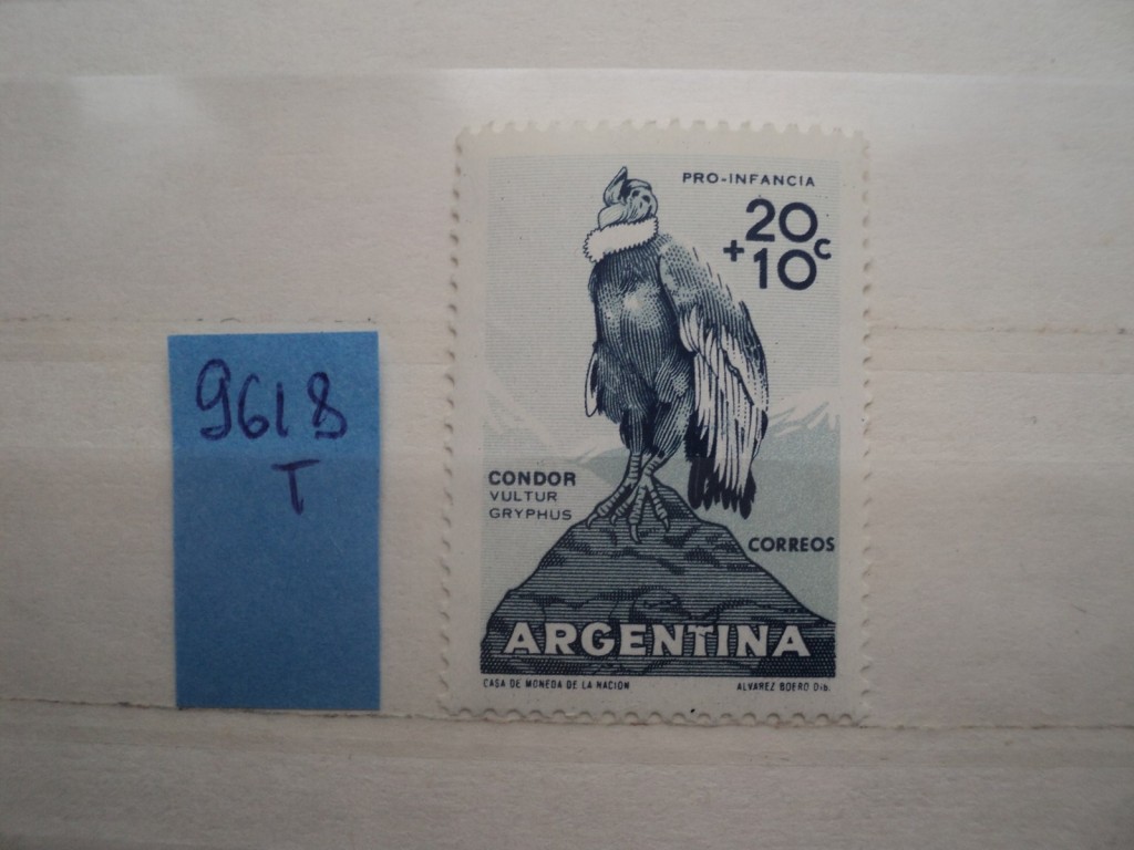 Фото марки Аргентина 1960г **