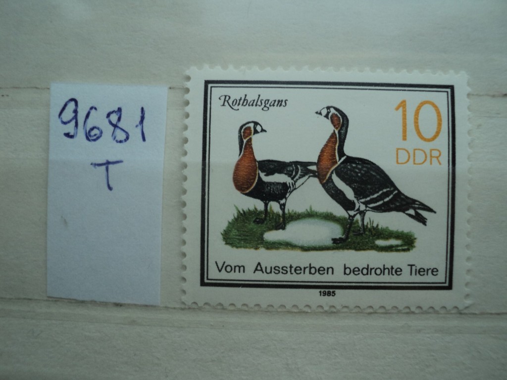 Фото марки Германия ГДР 1985г **