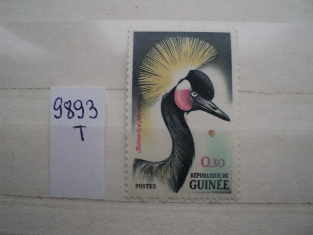 Фото марки Гвинея 1962г **