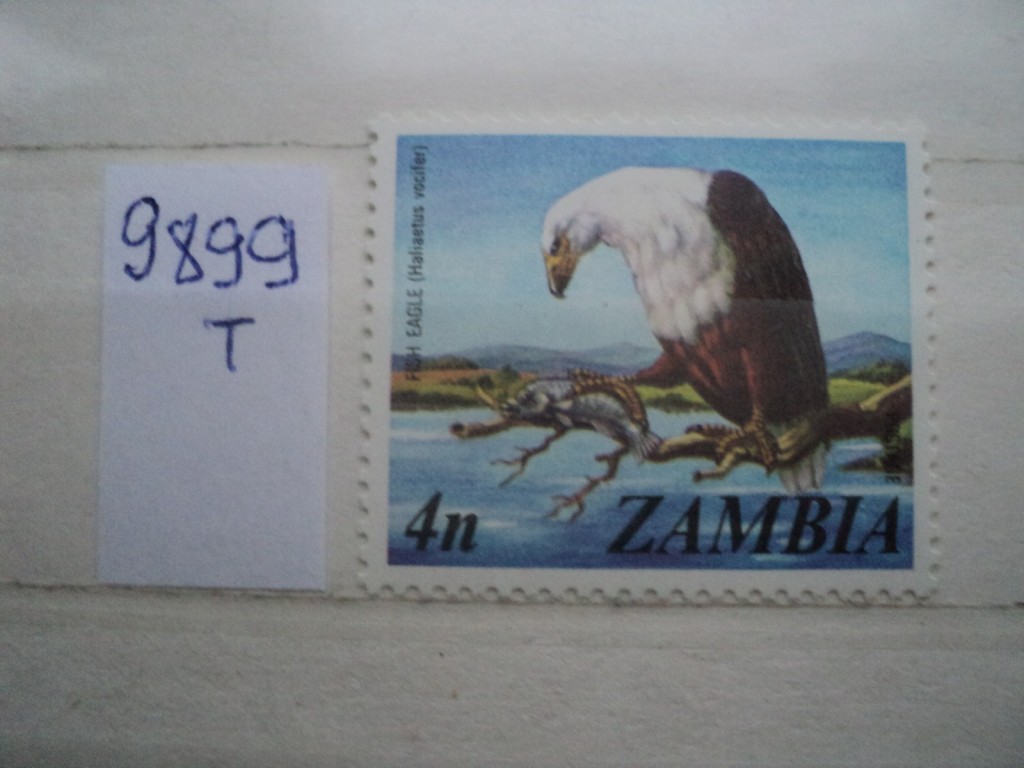Фото марки Замбия 1975г **