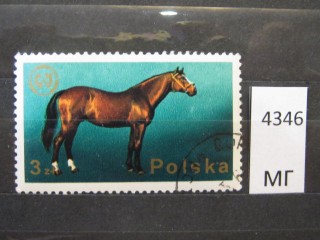 Фото марки Польша 1975г