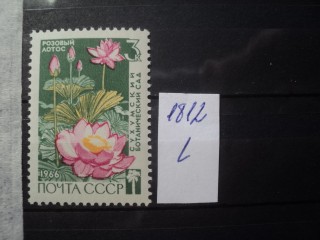 Фото марки СССР 1966г **