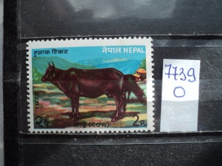 Фото марки Непал **