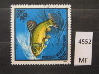 Фото марки Монголия 1975г