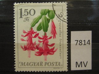 Фото марки Венгрия 1965г