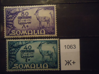 Фото марки Итальянск Сомали 1950г (25€) **