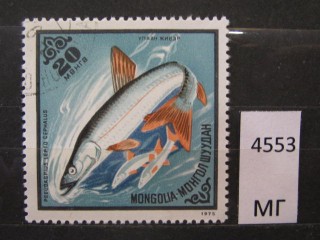 Фото марки Монголия 1975г