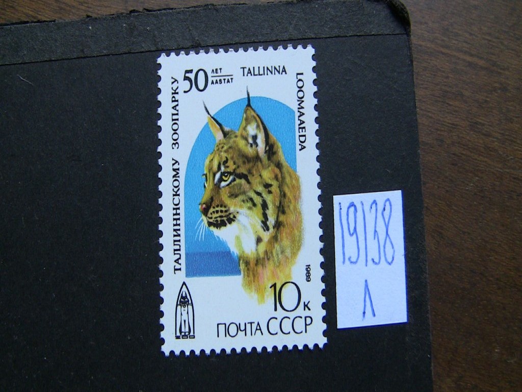 Фото марки СССР 1989г **