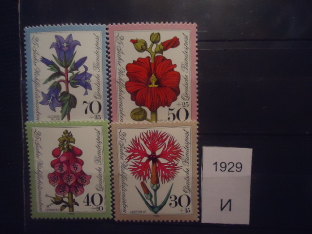 Фото марки Германия ФРГ 1974г **