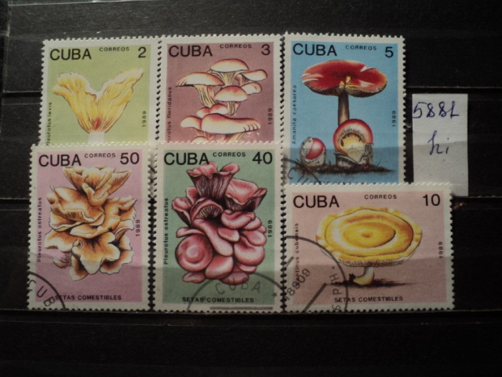 Сколько стоит марка куба. Почтовые марки Cuba. Ценные почтовые марки Кубы. Марки Куба цветы. Дорогие почтовые марки Куба.