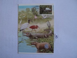 Фото марки Бразилия почтовая карточка
