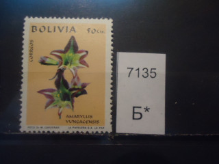 Фото марки Боливия 1971г **