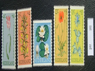 Фото марки Цветы 1960г **