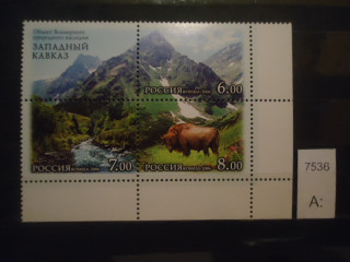 Фото марки Россия 2006г малый лист сцепки **