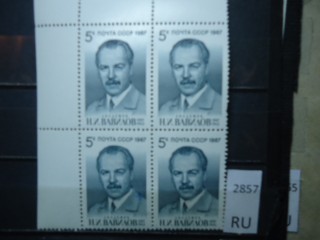 Фото марки СССР квартблок 1980-90гг **
