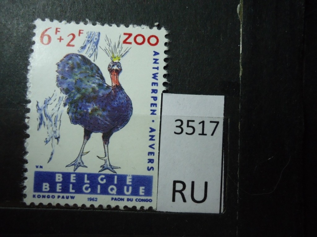 Фото марки Бельгия 1962г **