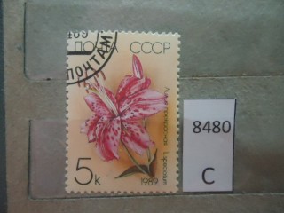 Фото марки СССР 1989г
