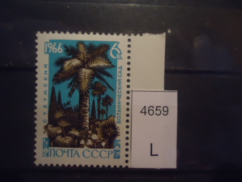 Фото марки СССР 1966г **