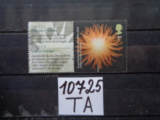Фото марки Великобритания 2004г **